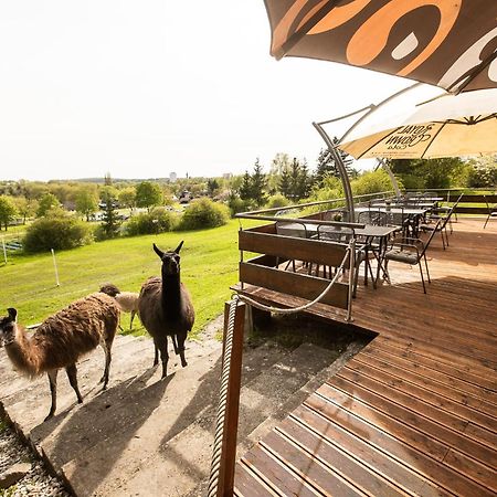 Hotel Rozkos Česká Skalice 外观 照片